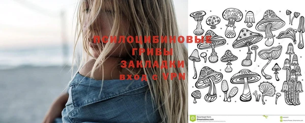 Альфа ПВП Балабаново